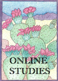 Online Studies